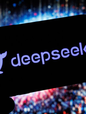 DeepSeek-API-Key-Crypto-Payment-USDT-BTC