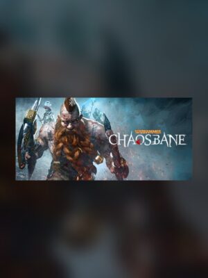 Warhammer: Chaosbane Steam Game Experience
