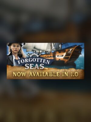 Forgotten Seas Steam Game Experience