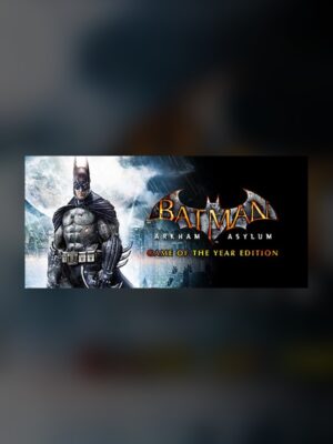 Batman: Arkham Asylum Steam Game Experience