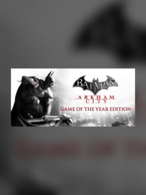 Batman: Arkham City Steam Game Experience