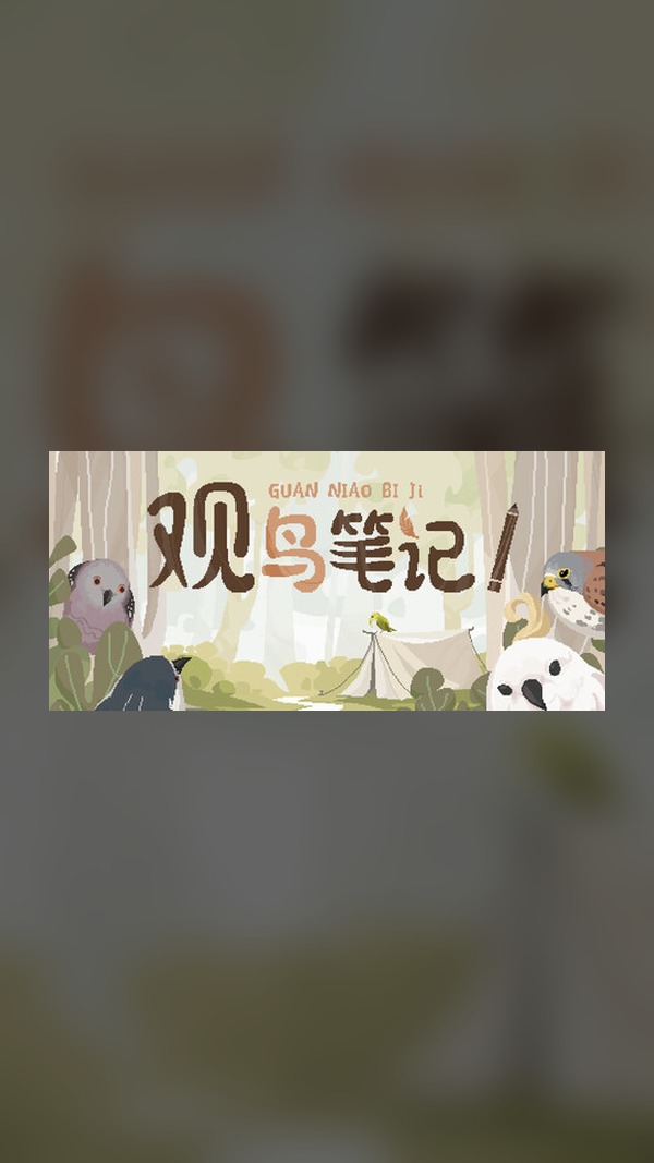 Birdwatching Notes Steam Game Experience