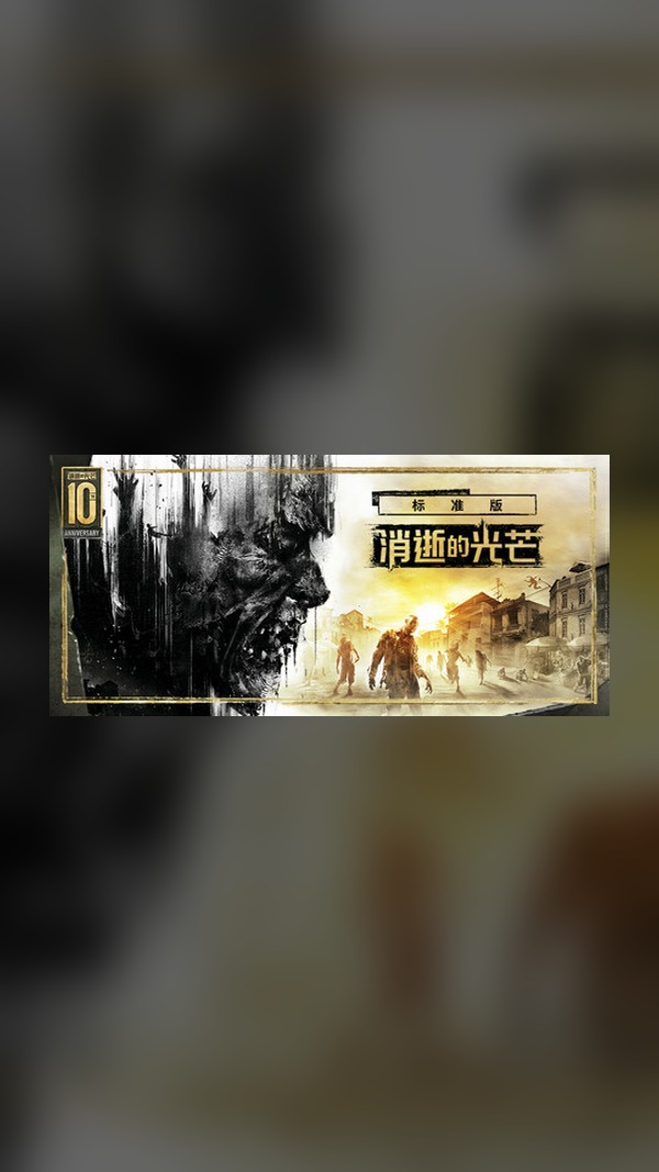 Dying Light Steam Game Experience