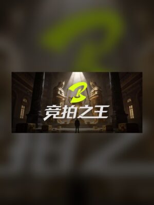 King of Bidding Steam Game Experience