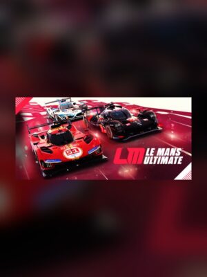 Le Mans Final Steam Game Experience