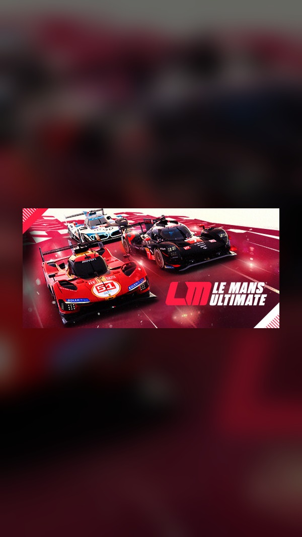 rental-le-mans-final Le Mans Final Steam Game Experience