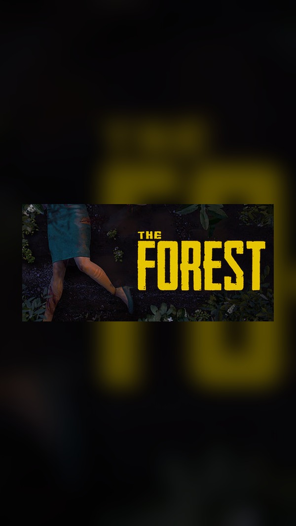 lost forest Steam Game Experience