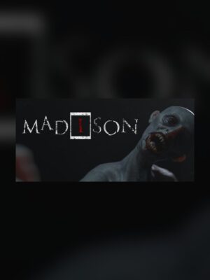 MADiSON Steam Game Experience