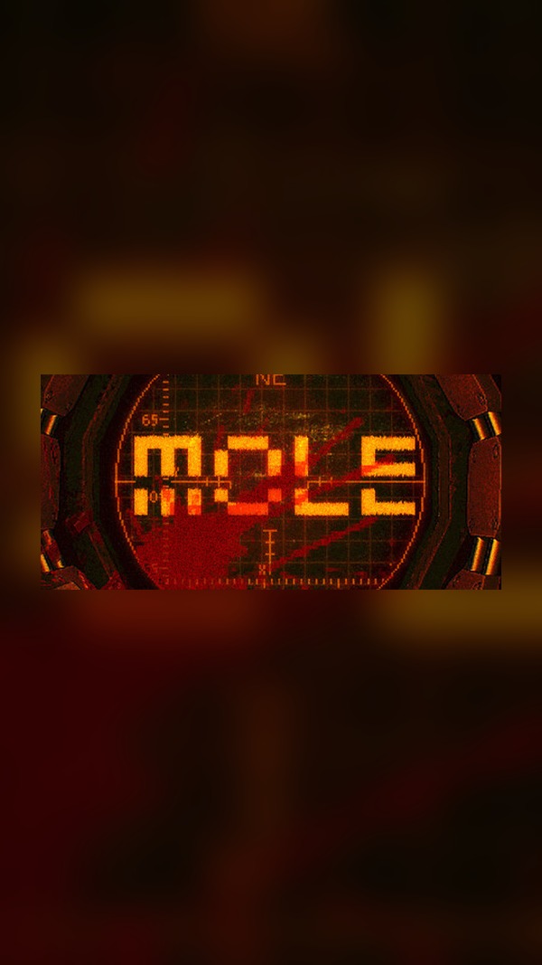 Mole Express Steam Game Experience