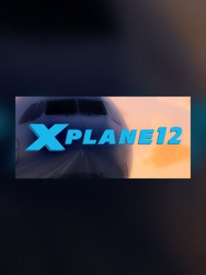 Professional Flight Simulator 12 Steam Game Experience