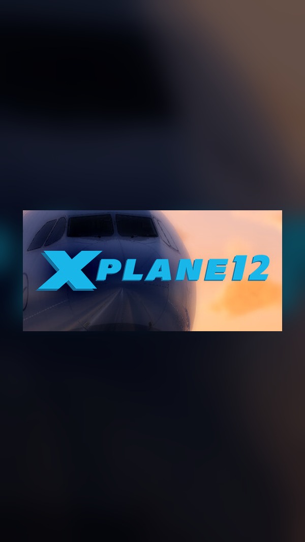 Professional Flight Simulator 12 Steam Game Experience