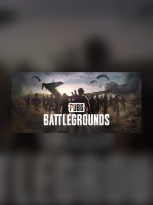 PUBG Steam Game Experience