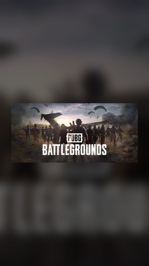 PUBG Steam Game Experience