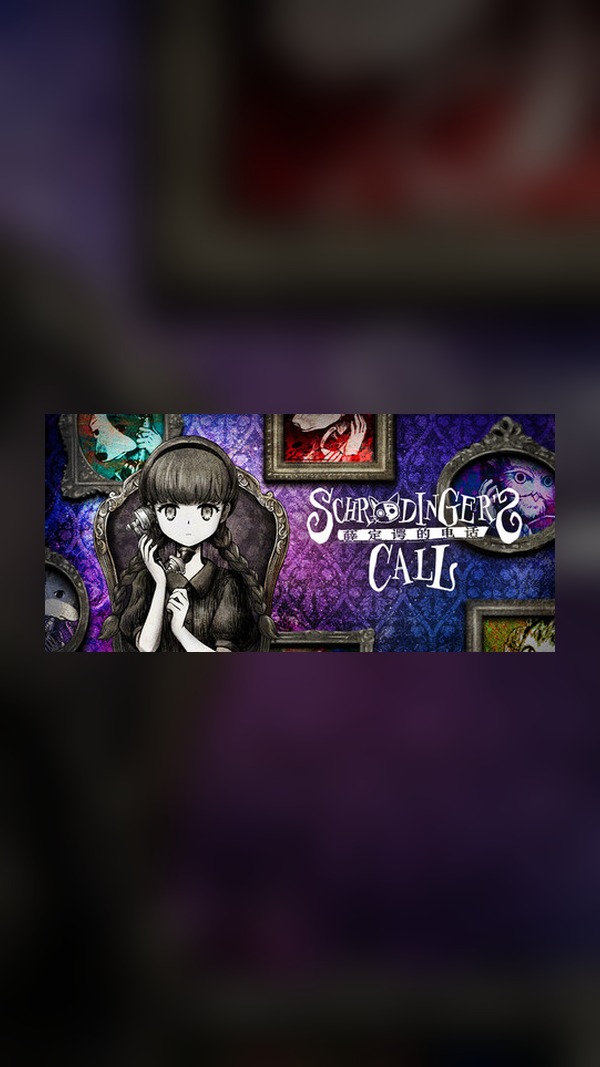 Schrodinger's Phone Steam Game Experience