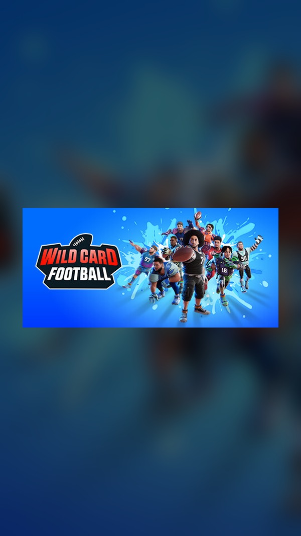 wild card football Steam Game Experience