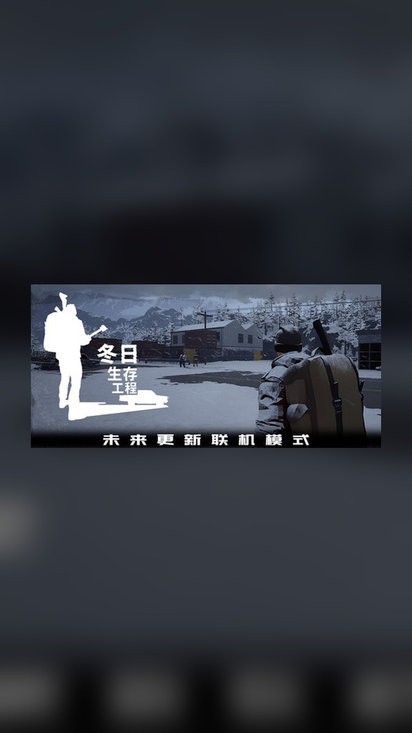 Winter Survival Project Steam Game Experience