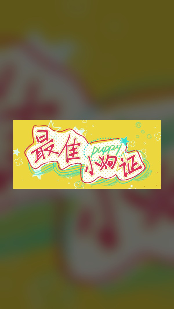 Best Dog Certificate Steam Game Experience