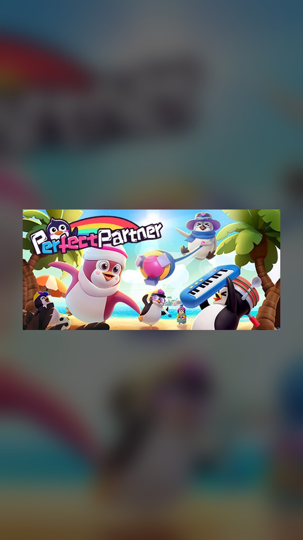 Best Partner Steam Game Experience