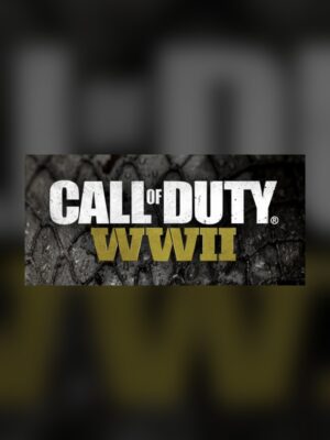 Call of Duty: WWII Steam Game Experience