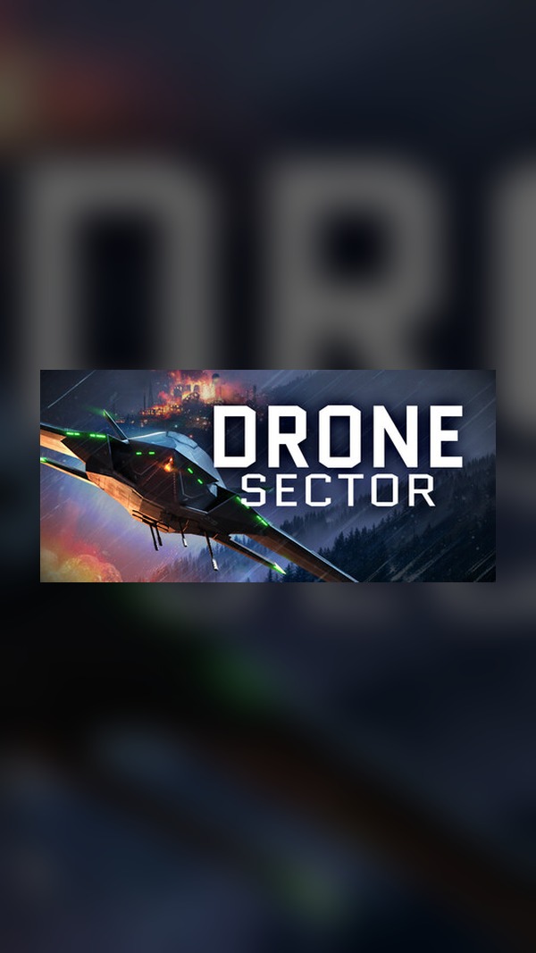 Drone Sector Steam Game Experience