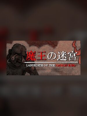 Labyrinth of the Demon King Steam Game Experience