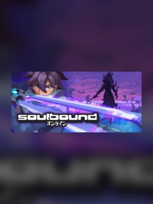 Soulbound: Online Steam Game Experience
