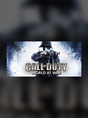 Call of Duty: World at War Steam Game Experience