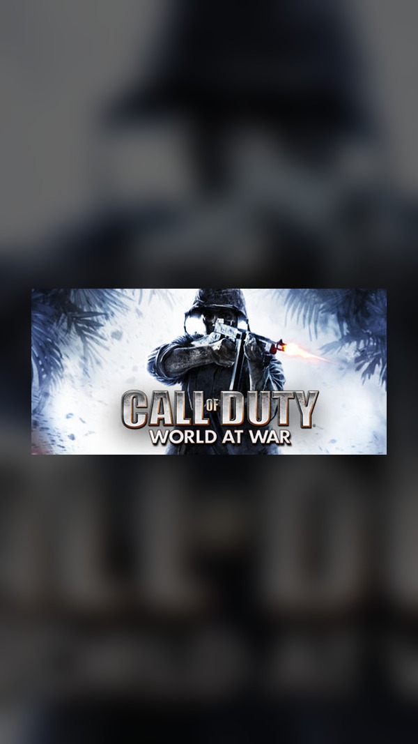 Call of Duty: World at War Steam Game Experience