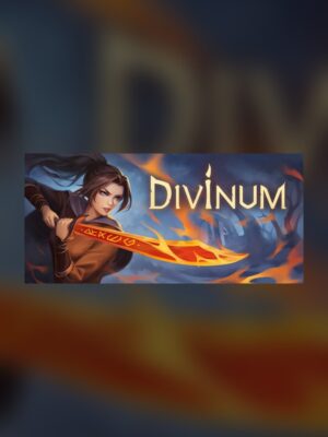 Divine Steam Game Experience