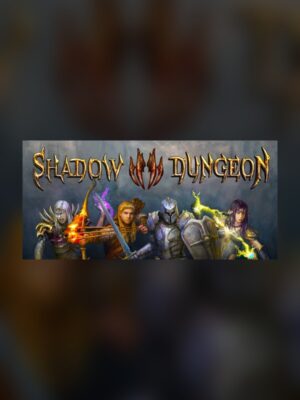 Shadow Dungeon Steam Game Experience